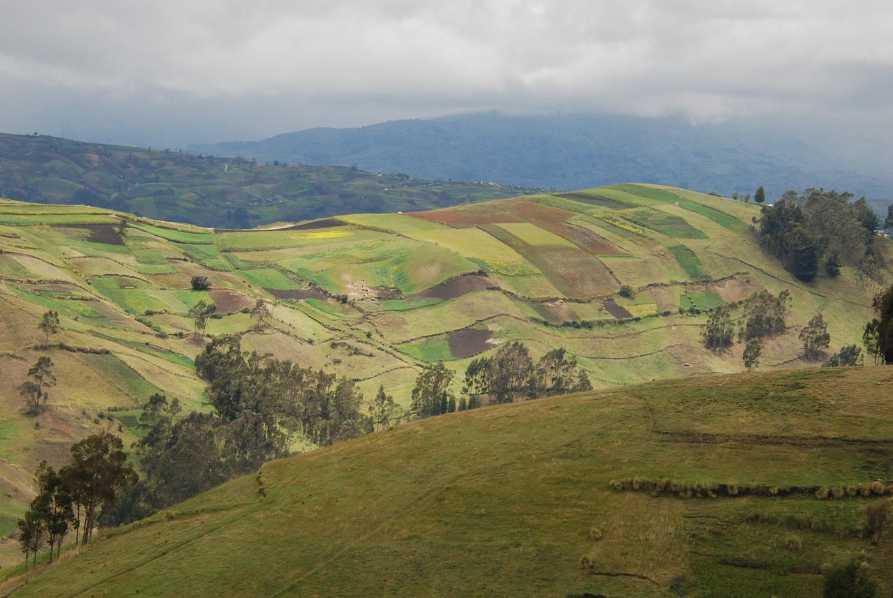 Turismo Comunitario La Esperanza Villa Hacienda Colta ภายนอก รูปภาพ